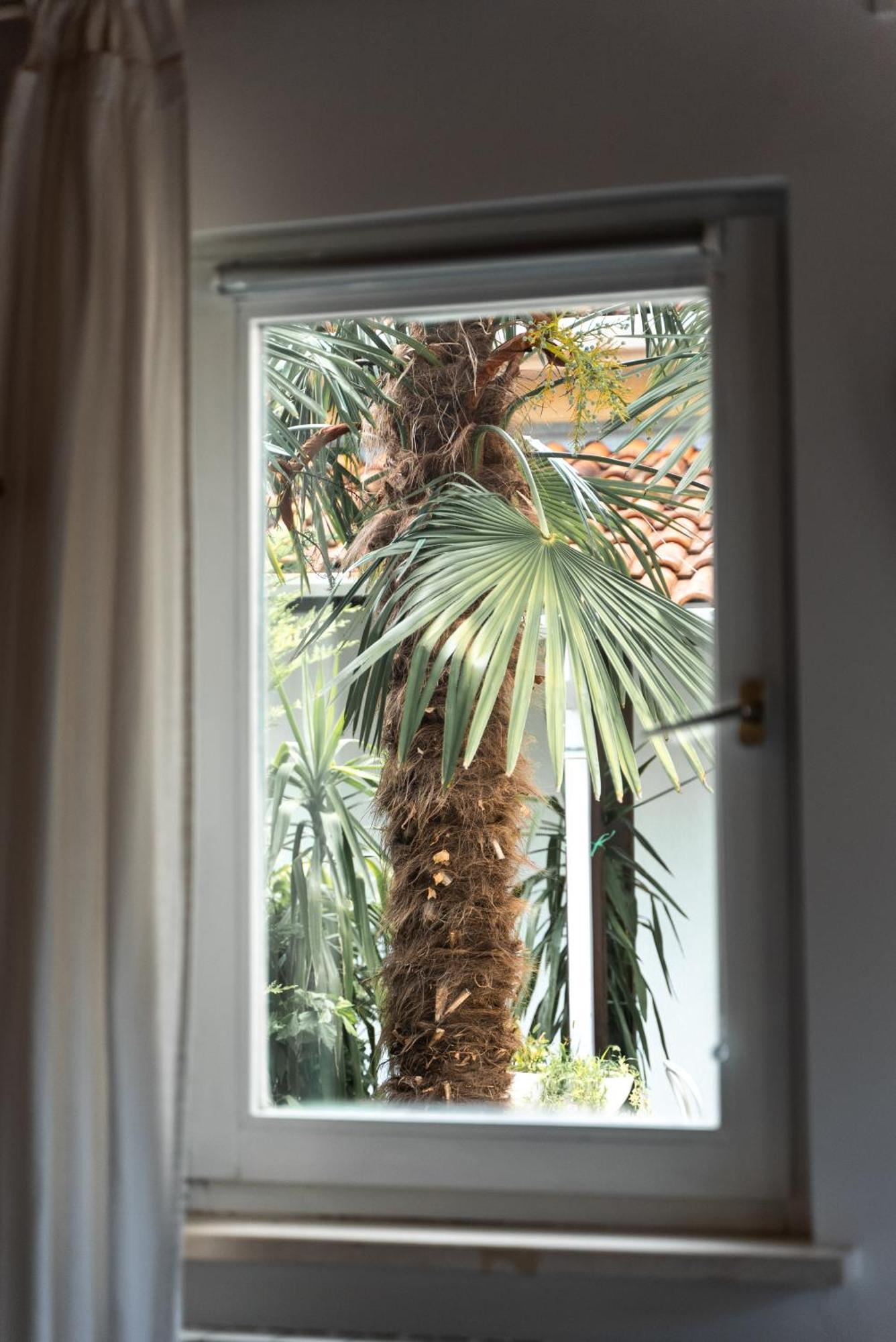 New Cosy Apartments With Private Parking Opatija Exteriör bild